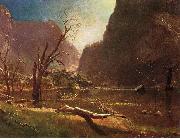Albert Bierstadt Hetch Hetchy Valley china oil painting artist